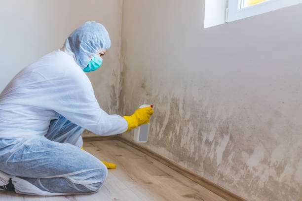 Commercial Mold Remediation assessment for commercial property in Richland