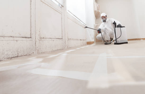 Black mold remediation team in Richland
